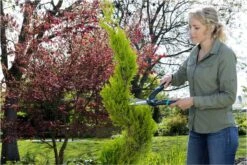 GARDENA PrecisionCut Buxusschaar - Meslengte 18 Cm - Vormsnoeien -Tuingereedschap Winkel 1200x800 29