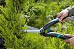 GARDENA PrecisionCut Buxusschaar - Meslengte 18 Cm - Vormsnoeien -Tuingereedschap Winkel 1200x800 30