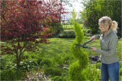 GARDENA PrecisionCut Buxusschaar - Meslengte 18 Cm - Vormsnoeien -Tuingereedschap Winkel 1200x800 32