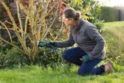 Bosch KEO 18 Accu Tuinzaagmachine - Snijdiameter Van 80 Mm - Met 18 V Accu En Lader -Tuingereedschap Winkel 1200x800 47