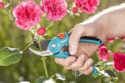 GARDENA - Classic B/S-M Bypass Snoeischaar - Ø 22mm - 25 Jaar Garantie -Tuingereedschap Winkel 1200x800 52