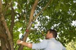 Gardena TeleCut Takkenschaar 650-900 B - Uitschuifbare Armen - Tot Max 90 Cm 21 Gardena TeleCut Takkenschaar 650-900 B - Uitschuifbare Armen - Tot Max 90 Cm -Tuingereedschap Winkel 1200x800 62