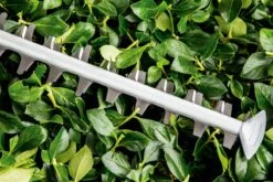 Bosch UniversalHedgeCut 60 Heggenschaar - Op Snoer - Lengte 60 Cm -Tuingereedschap Winkel 1200x800 75