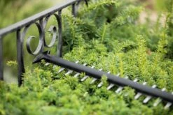 Bosch UniversalHedgeCut 18-55 Heggenschaar - Zonder 18V Accu En Oplader 16 Bosch UniversalHedgeCut 18-55 Heggenschaar - Zonder 18V Accu En Oplader -Tuingereedschap Winkel 1200x800 87