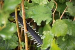 Bosch UniversalHedgeCut 18-55 Heggenschaar - Zonder 18V Accu En Oplader 19 Bosch UniversalHedgeCut 18-55 Heggenschaar - Zonder 18V Accu En Oplader -Tuingereedschap Winkel 1200x800 90