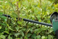 Bosch UniversalHedgeCut 18-50 Heggenschaar - Met 18 V Accu En Lader -Tuingereedschap Winkel 1200x800 96