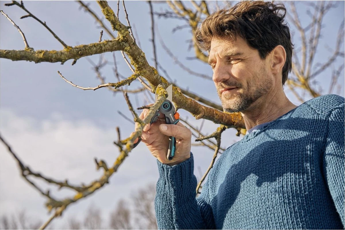 GARDENA - ExpertCut - Snoeischaar - 22 Diameter Tak 9 GARDENA - ExpertCut - Snoeischaar - 22 Diameter Tak - Afbeelding 7