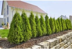 GARDENA Micro Drip System Startset L Druppelsysteem - 50 Meter -Tuingereedschap Winkel 1200x814