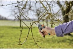 GARDENA - ExpertCut - Snoeischaar - 22 Diameter Tak 34 GARDENA - ExpertCut - Snoeischaar - 22 Diameter Tak -Tuingereedschap Winkel 1200x815