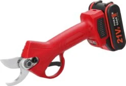 Elektrische Snoeischaar - Accu Snoeischaar - 2 Accu's - Professioneel - Tuinschaar -Tuingereedschap Winkel 1200x819