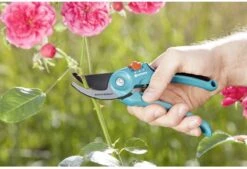 GARDENA - Classic B/S-M Bypass Snoeischaar - Ø 22mm - 25 Jaar Garantie -Tuingereedschap Winkel 1200x820