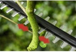 Bosch UniversalHedgePole 18 Heggenschaar Op Steel - Met 18 V Accu En Lader -Tuingereedschap Winkel 1200x823 1