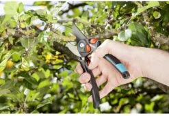 GARDENA - Comfort B/S-XL Bypass - Snoeischaar - Ø 24 Mm - 25 Jaar Garantie -Tuingereedschap Winkel 1200x825 1