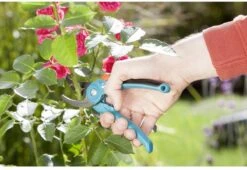 GARDENA - Classic B/S-M Bypass Snoeischaar - Ø 22mm - 25 Jaar Garantie -Tuingereedschap Winkel 1200x825 5