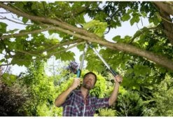 Gardena EasyCut Takkenschaar 68B + Classic Snoeischaar 8754 Display 1stuk 12003-30 14 Gardena EasyCut Takkenschaar 68B + Classic Snoeischaar 8754 Display 1stuk 12003-30 -Tuingereedschap Winkel 1200x825 6