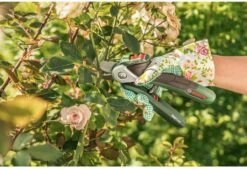 Bosch EasyPrune Accu Snoeischaar - 3.6 V Accu - USB -Tuingereedschap Winkel 1200x825 8