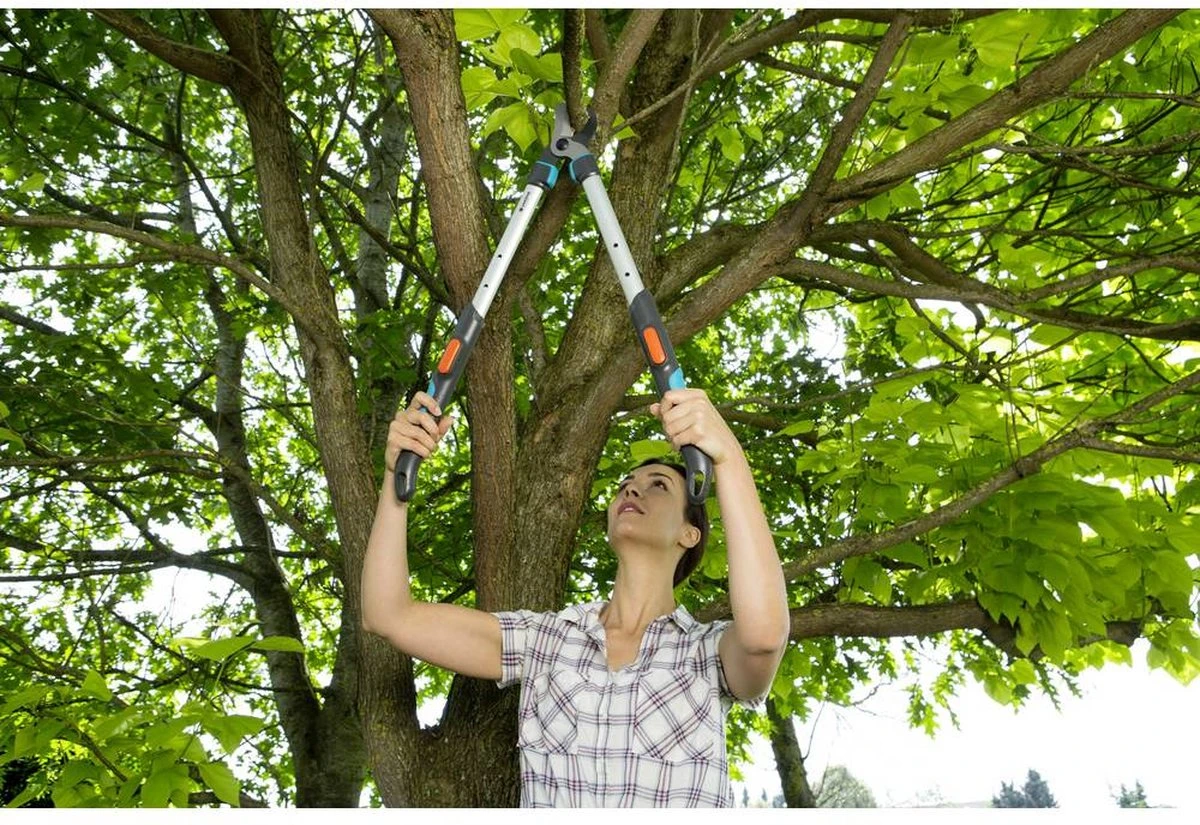 GARDENA - TeleCut Telescopische - Takkenschaar 520-670B - 42 Mm Verstelbare Lengte 10 GARDENA - TeleCut Telescopische - Takkenschaar 520-670B - 42 Mm Verstelbare Lengte - Afbeelding 8