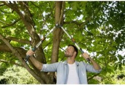 Gardena TeleCut Takkenschaar 650-900 B - Uitschuifbare Armen - Tot Max 90 Cm 20 Gardena TeleCut Takkenschaar 650-900 B - Uitschuifbare Armen - Tot Max 90 Cm -Tuingereedschap Winkel 1200x826