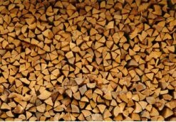 Steko Houtsplijter Voor Grote Blokken - Voor Aanmaakhout & Brandhout - Houtklover - Houtkliever - Splijtwig - Handmatig - Overal Te Gebruiken 1605 Gram - Metaal - Kloofwig - HOGE VOLUMEKORTING -Tuingereedschap Winkel 1200x837 1