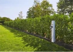 GARDENA - Besproeiingscomputer Flex - Geen App Vereist -Tuingereedschap Winkel 1200x856