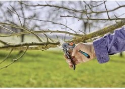 GARDENA - ExpertCut - Snoeischaar - 22 Diameter Tak 33 GARDENA - ExpertCut - Snoeischaar - 22 Diameter Tak -Tuingereedschap Winkel 1200x859