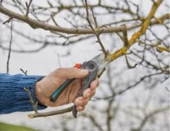 GARDENA - ExpertCut - Snoeischaar - 22 Diameter Tak 21 GARDENA - ExpertCut - Snoeischaar - 22 Diameter Tak -Tuingereedschap Winkel 1200x929