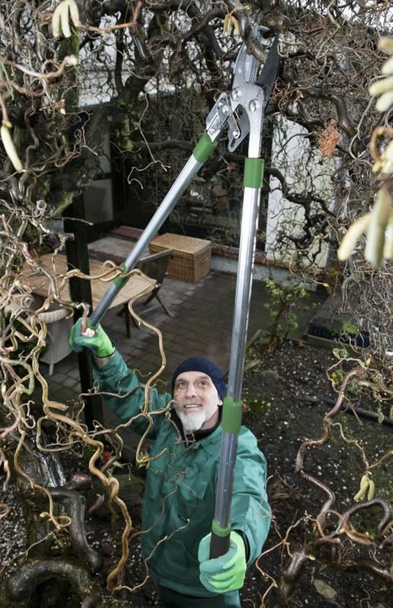 Telescopische Takkenschaar, 6-voudig 5 Telescopische Takkenschaar, 6-voudig - Afbeelding 3