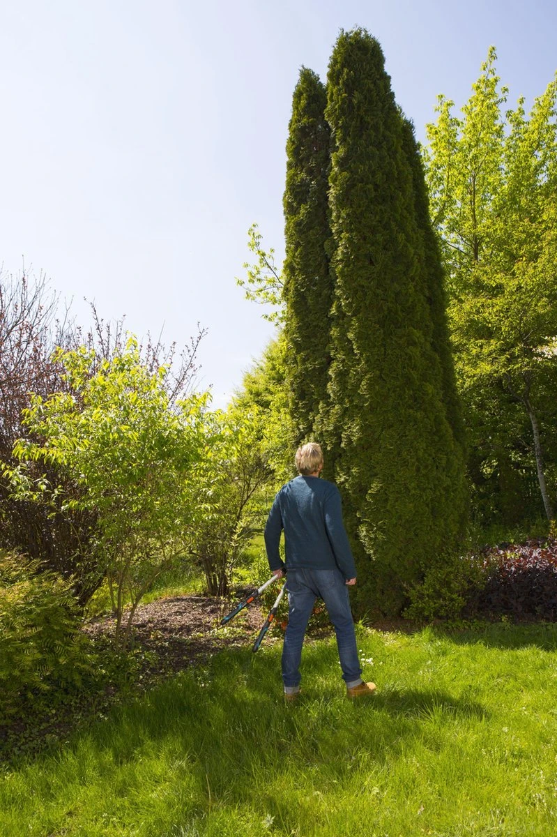 GARDENA TeleCut Heggenschaar - Telescopische Handgrepen Van 70-90 Cm 9 GARDENA TeleCut Heggenschaar - Telescopische Handgrepen Van 70-90 Cm - Afbeelding 7