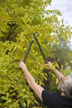 Kreator KRTGR4001 Takkenschaar - 650mm -Tuingereedschap Winkel 800x1200 1