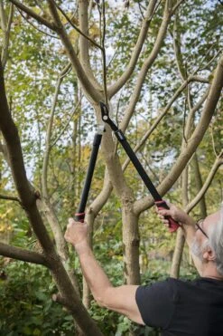 Kreator KRTGR4001 Takkenschaar - 650mm -Tuingereedschap Winkel 800x1200 2