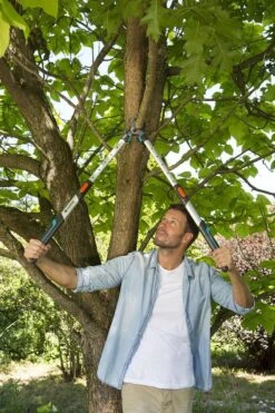 Gardena TeleCut Takkenschaar 650-900 B - Uitschuifbare Armen - Tot Max 90 Cm 18 Gardena TeleCut Takkenschaar 650-900 B - Uitschuifbare Armen - Tot Max 90 Cm -Tuingereedschap Winkel 800x1200 7