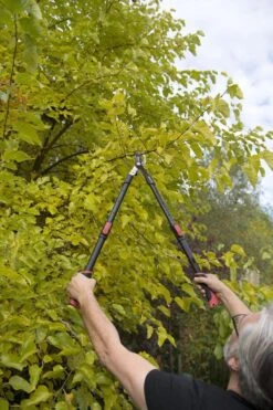 Kreator KRTGR4003 Telescopische Takkenschaar – Jong Hout - Knipdiameter: Ø34 Mm -Tuingereedschap Winkel 800x1200 8