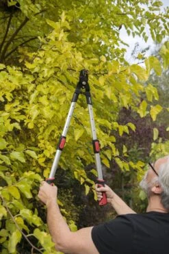 Kreator KRTGR4013 Telescopische Takkenschaar - 63-89 Cm Totale Lengte - . Ø39 Mm Knipdiameter -Tuingereedschap Winkel 800x1200 9