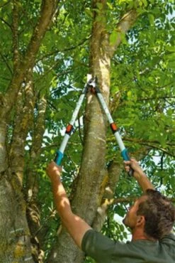 Gardena TeleCut Takkenschaar 650-900 B - Uitschuifbare Armen - Tot Max 90 Cm 26 Gardena TeleCut Takkenschaar 650-900 B - Uitschuifbare Armen - Tot Max 90 Cm -Tuingereedschap Winkel 801x1200 1