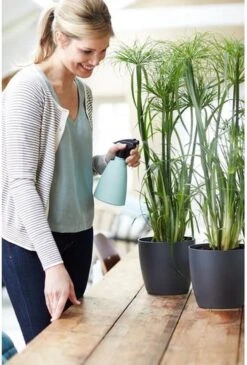 Elho Brussels Sprayer 12 - Plantenspuit Voor Binnen - Ø 11.3 X H 22.3 Cm - Groen/Mint -Tuingereedschap Winkel 813x1200 1