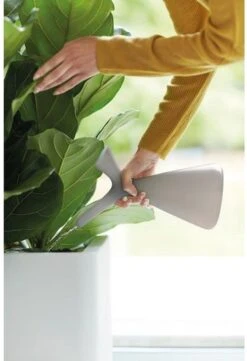 Elho Plunge Gieter 20 - Gieter Voor Binnenaccessoires - Ø 15.0 X H 29.5 Cm - Grijs/Warm Grijs -Tuingereedschap Winkel 820x1200