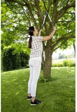 GARDENA - TeleCut Telescopische - Takkenschaar 520-670B - 42 Mm Verstelbare Lengte 16 GARDENA - TeleCut Telescopische - Takkenschaar 520-670B - 42 Mm Verstelbare Lengte -Tuingereedschap Winkel 826x1200