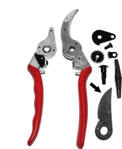 Felco 2 + GRATIS Felco Handschoenen In Cadeauverpakking -Tuingereedschap Winkel 987x1200