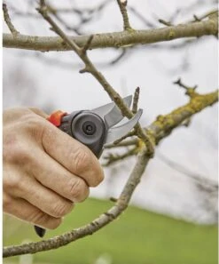 GARDENA - ExpertCut - Snoeischaar - 22 Diameter Tak 35 GARDENA - ExpertCut - Snoeischaar - 22 Diameter Tak -Tuingereedschap Winkel 999x1200